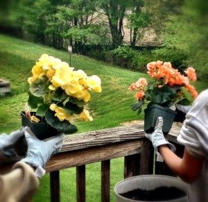 sisters planting flowers